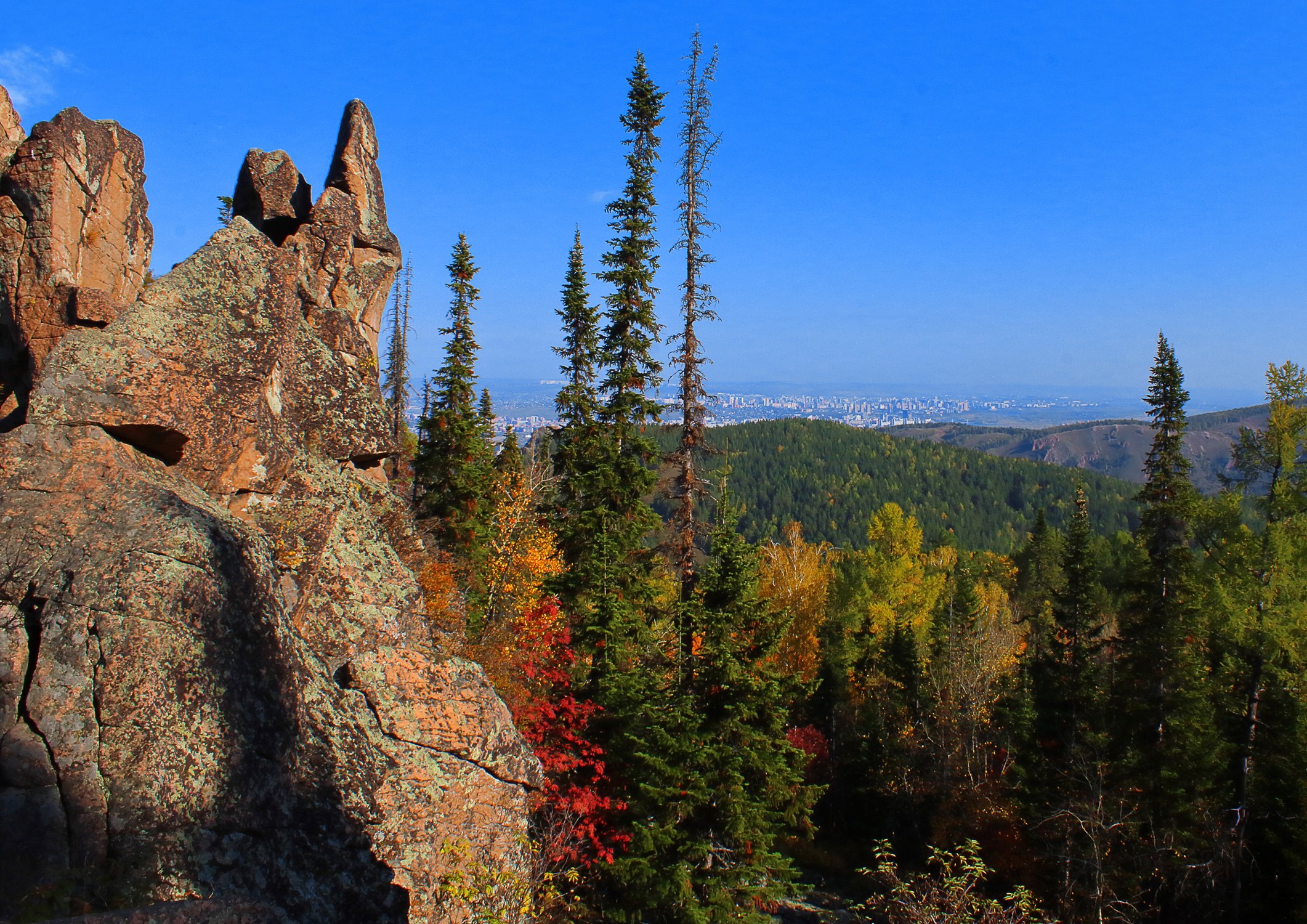 Краски осенней тайги