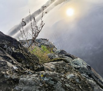 Залив импилахти