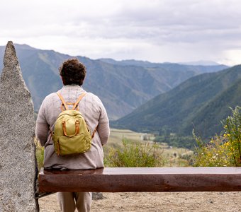 Молчаливое восхищение