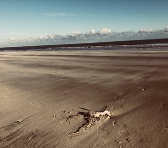 Прибрежная полоса. о. Джерба. Тунис