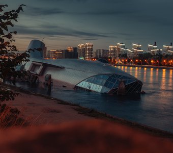 Серебряный кит