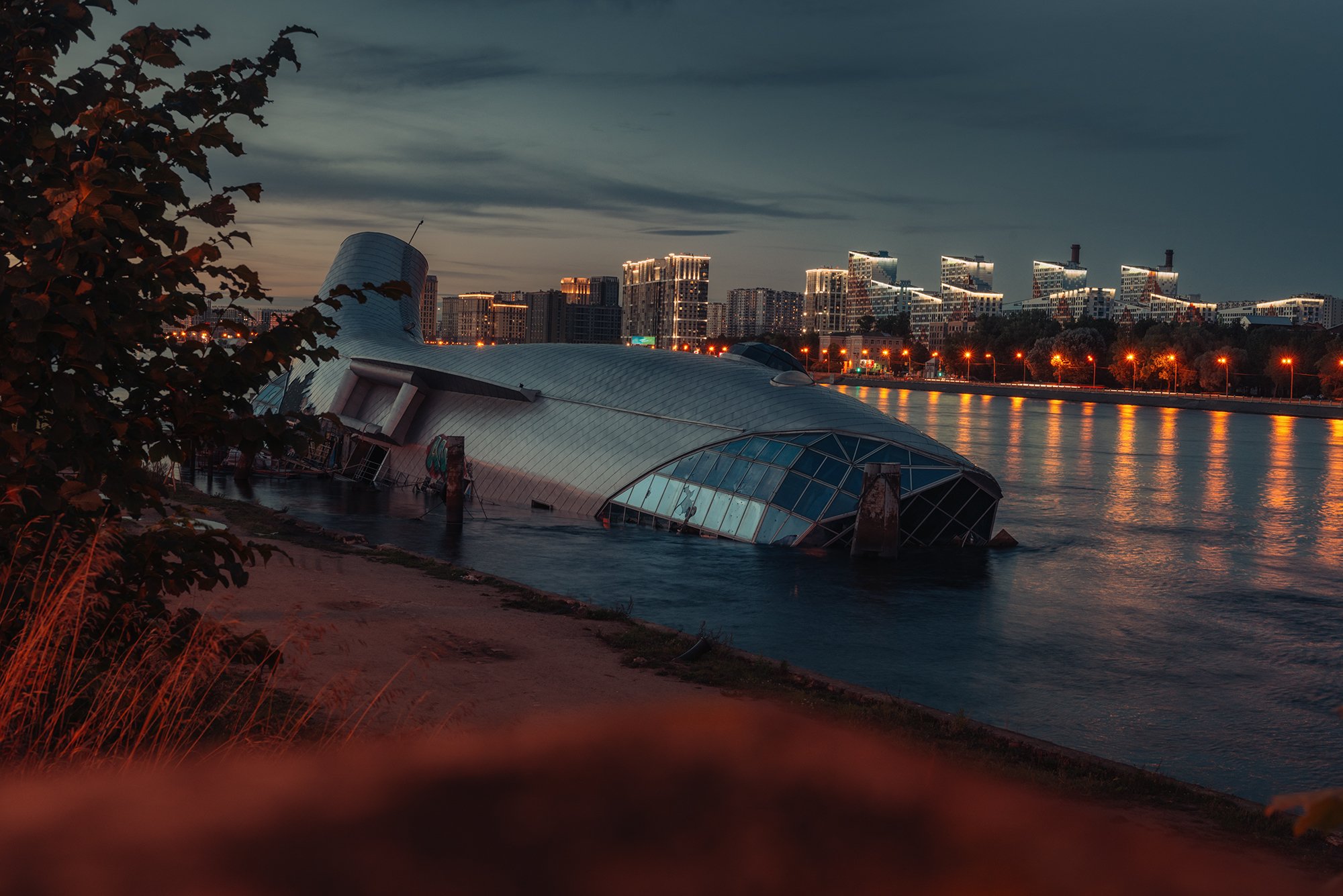 Серебряный кит