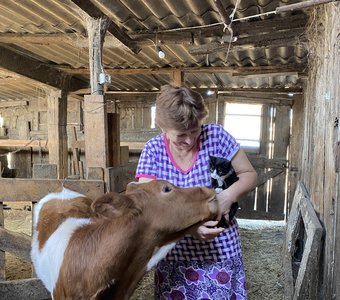 Доброта спасет мир