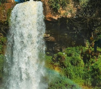 Тропический душ