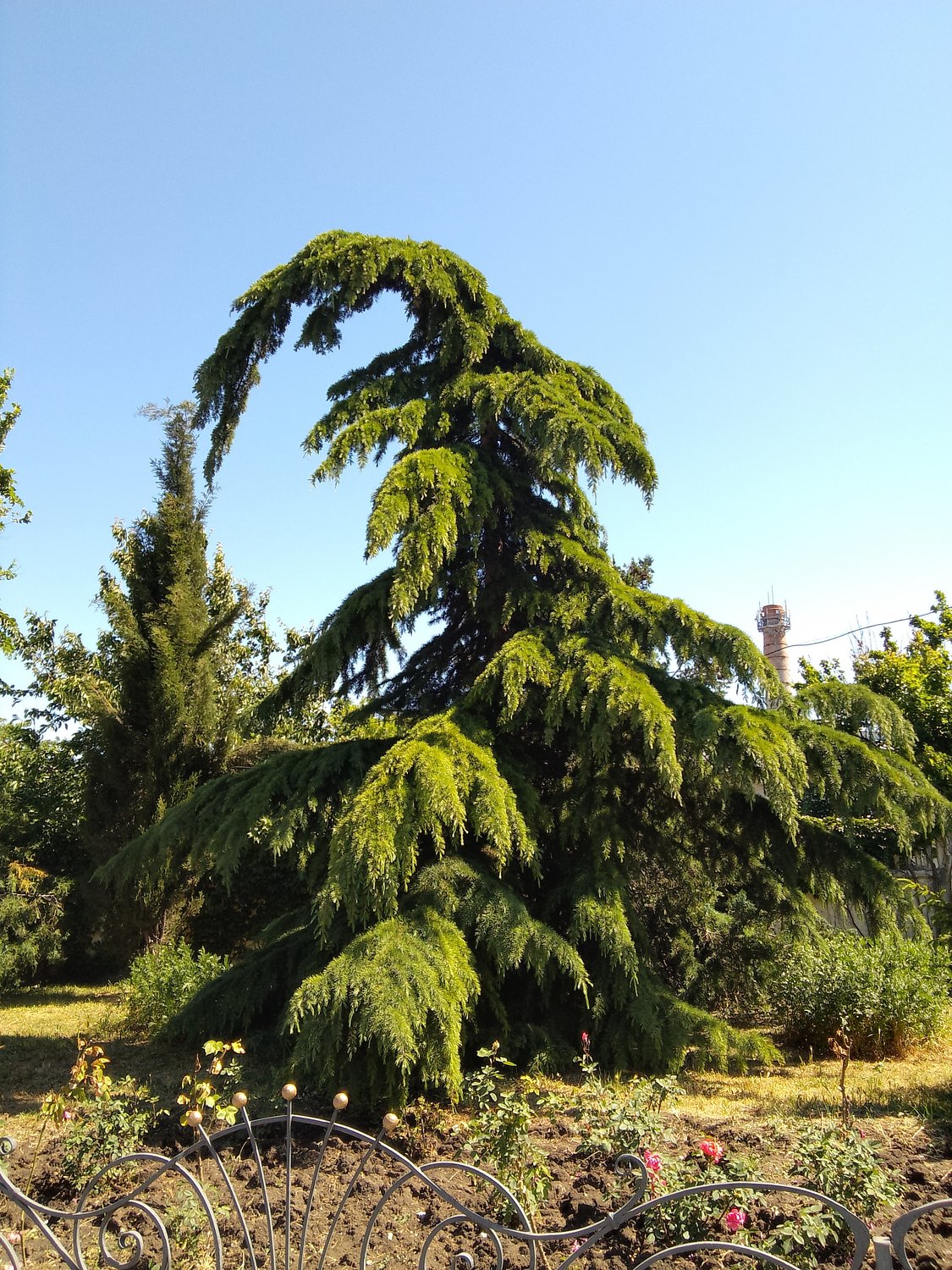 Устали ждать