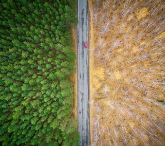 Граница осени