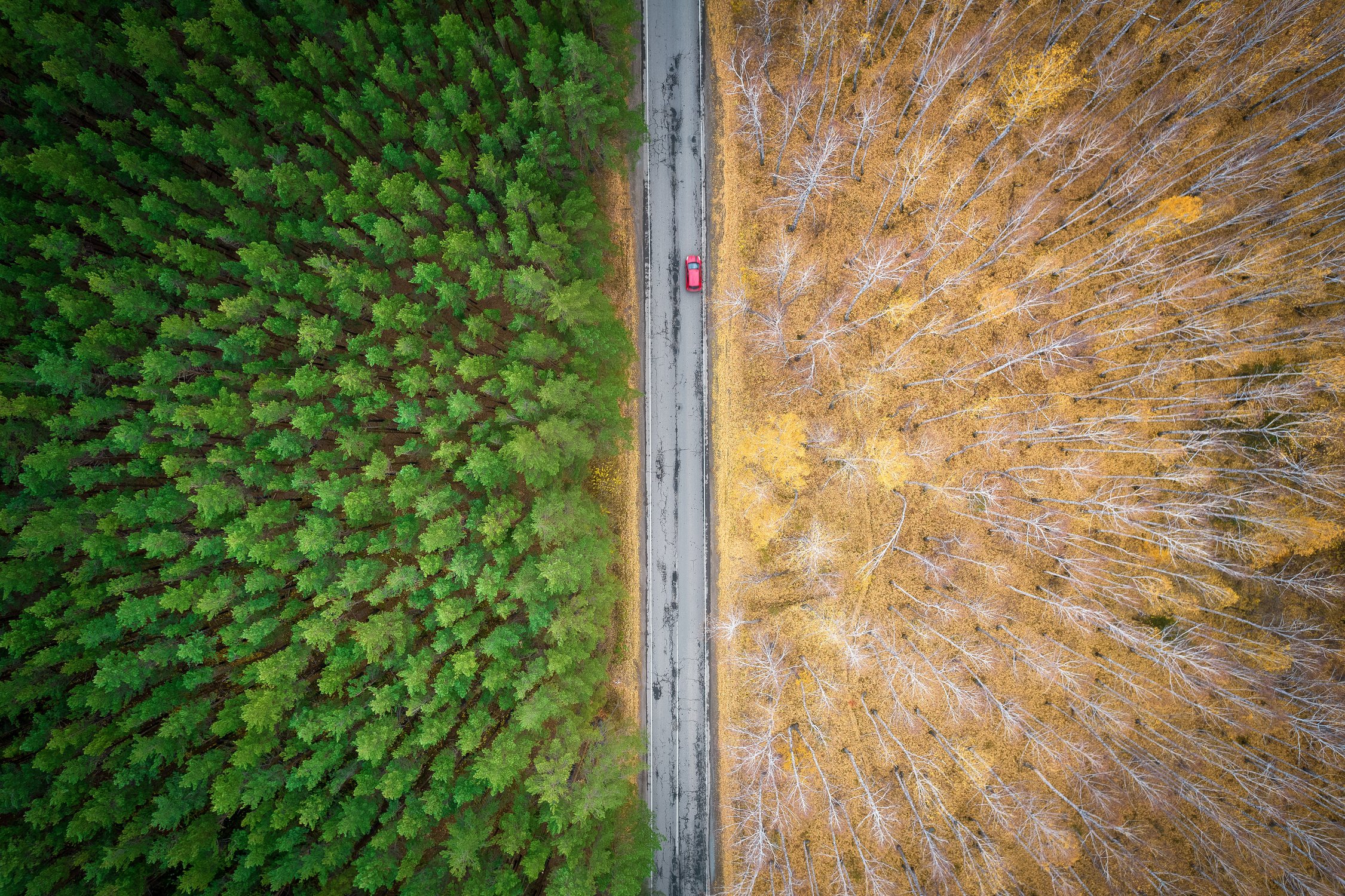 Граница осени