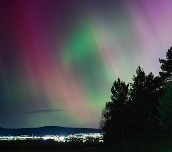 Дорога к цвету