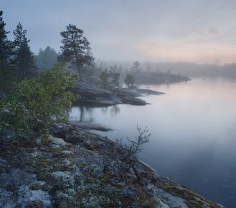 Туманная зорька