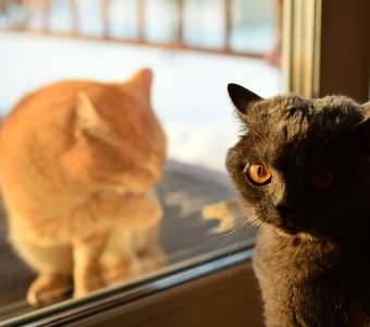 знакомство