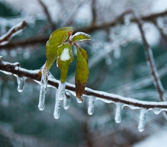 Плач природы