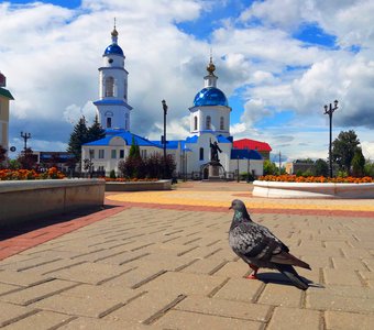 Родные места