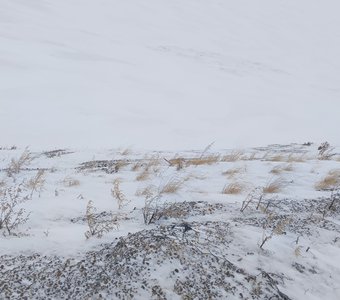 Небо и Земля