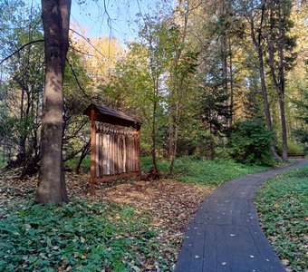 Срезы дерева