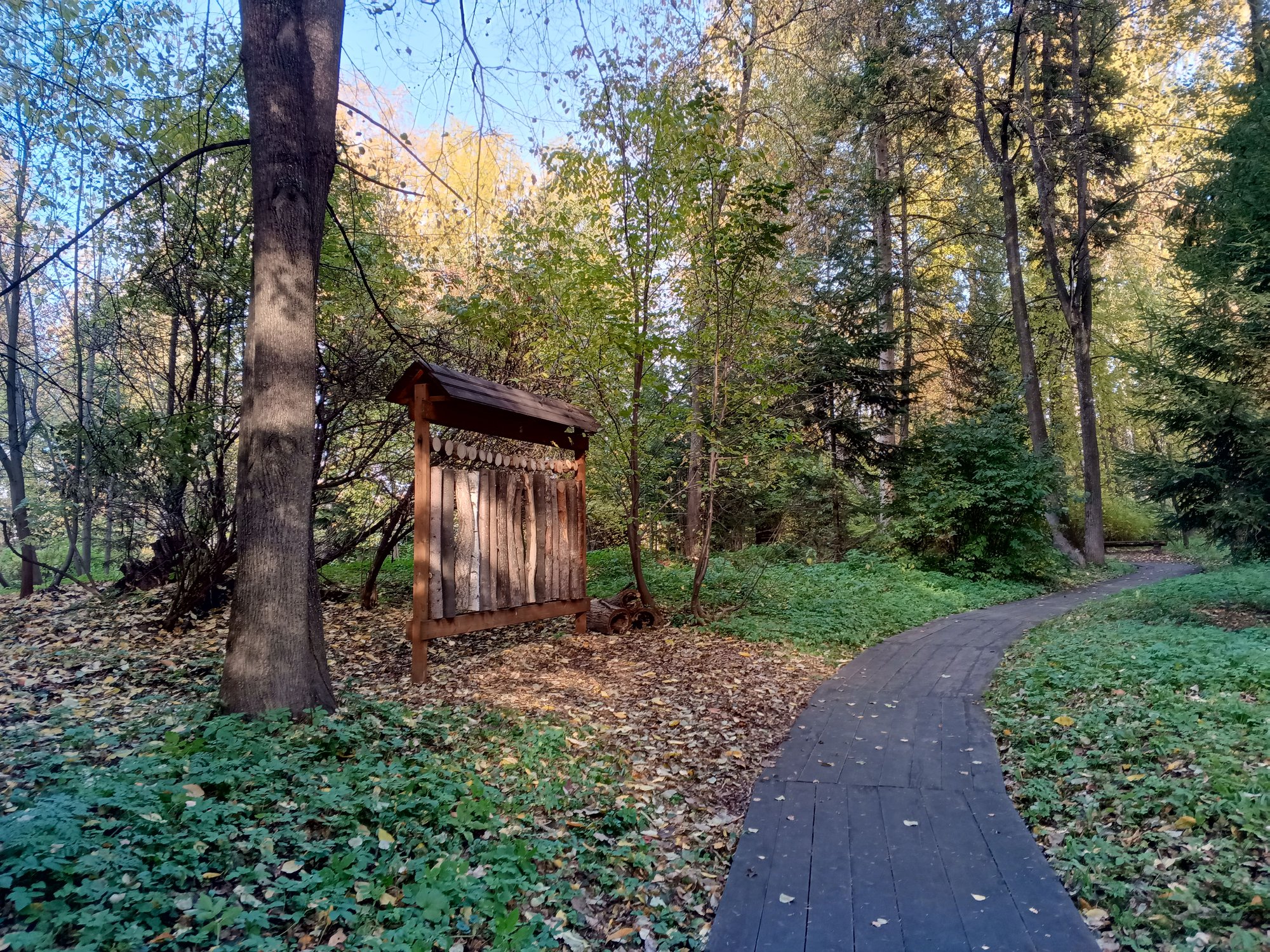 Срезы дерева