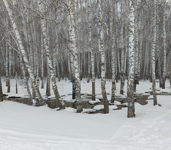 Весенний ручей