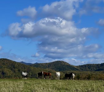 Остров Сахалин