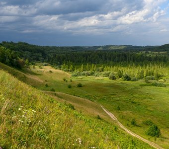 Все оттенки зелёного