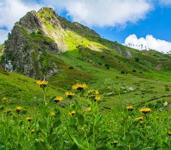 Цирк-2. Красная Поляна