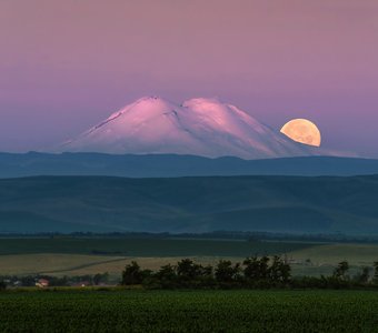 Предрассветная история