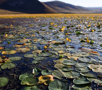 Устье реки Анга