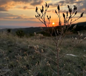 Лучшие закаты в родных местах