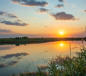 Летним вечером