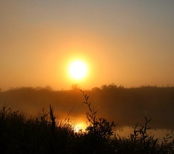 Туманное утро.