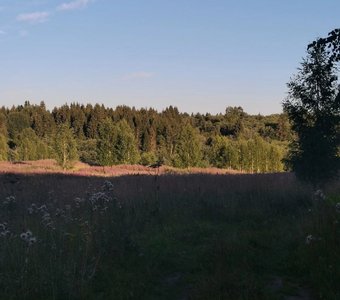 Поле красоты