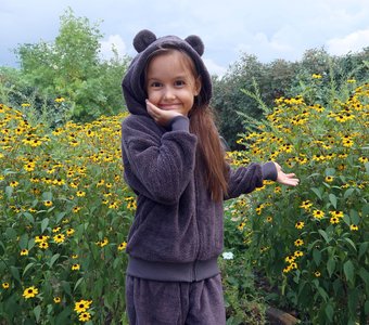 «Черноглазая Сюзанна» (Рудбекия)