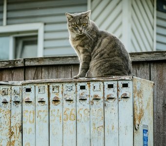 "Какие-то проблемы?"