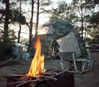 Лето - это маленькая жизнь.
