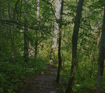 Дорожка в никуда