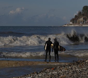 Подглядываем за обучением