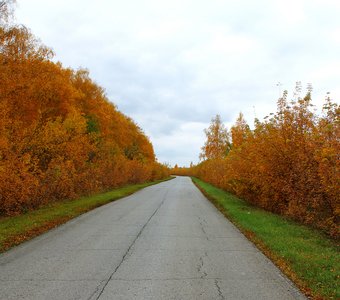 Дорога в осень