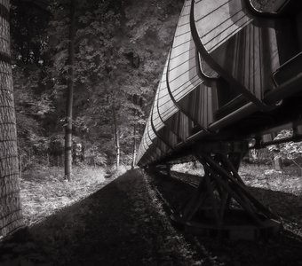 Подвесной мост в парке