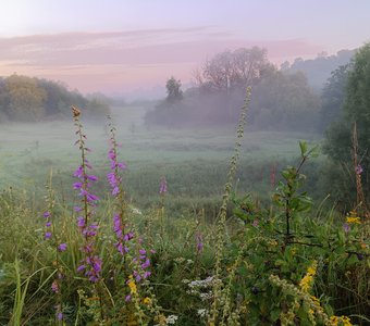 Утро в августе