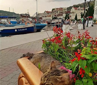 Отдых возле моря