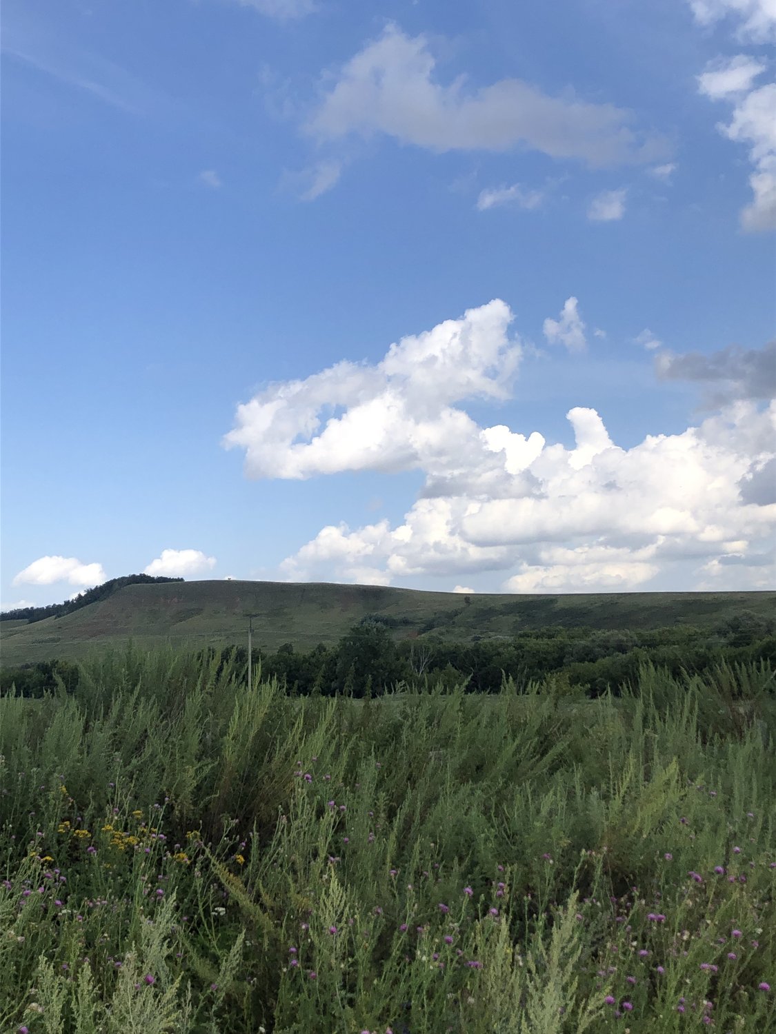 Чистый воздух — это горы