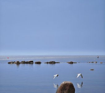 Зеркальный полёт