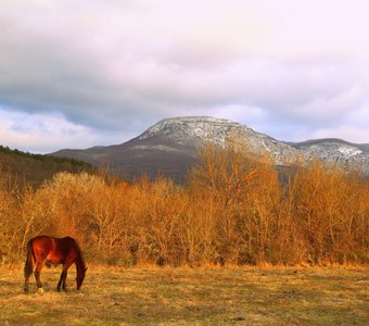 Крымская осень