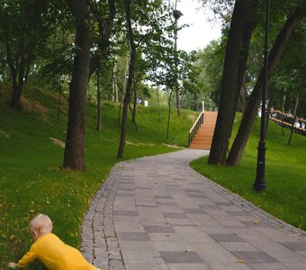 Найду свою дорогу