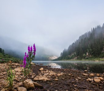 Утро на Чусовой