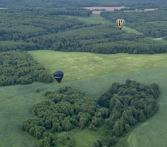 Зеленое море под Дмитровом