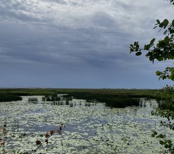 Простор для души и мысли