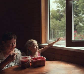 Красная смородина