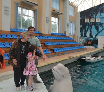 День рождения в дельфинарии