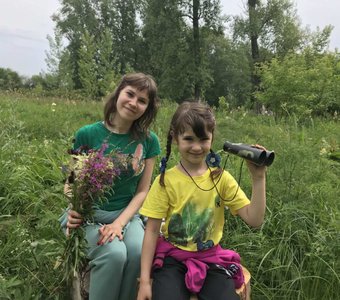 "В лесу стоит маленький дом, // Бим дом, Бом"