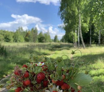 Русский лес