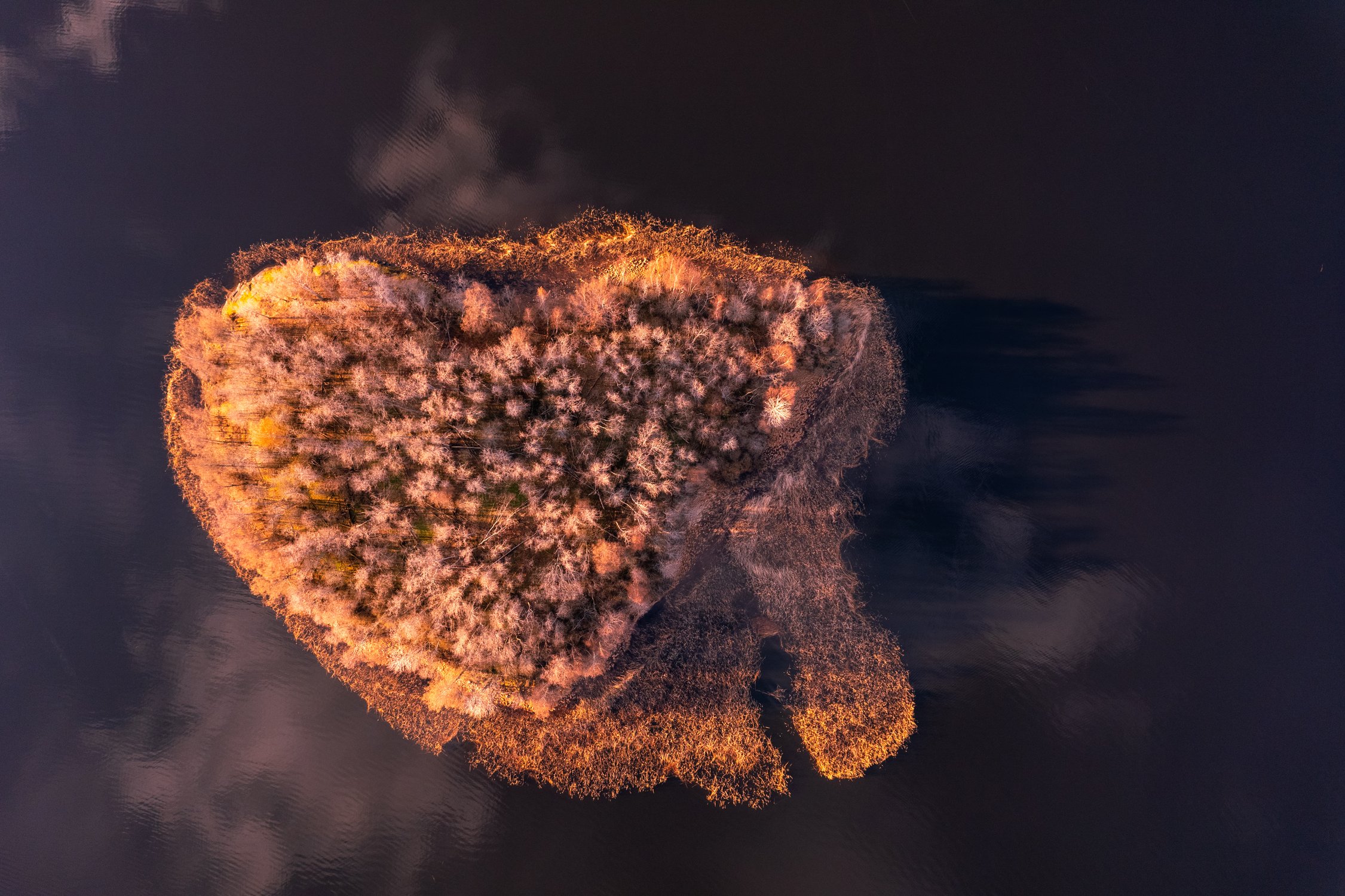 С любовью к России